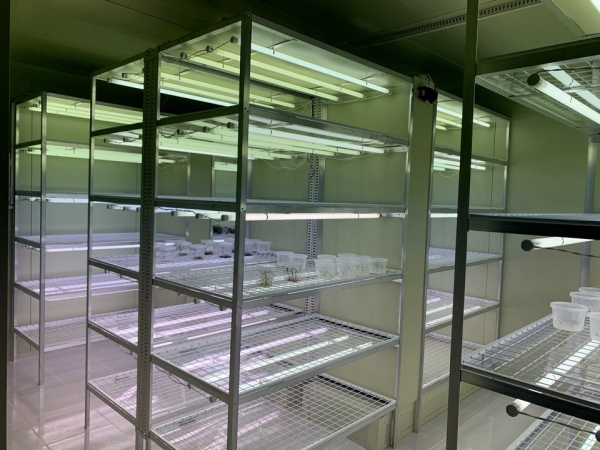 (사진은 조직배양실모습)농어촌공사는 볼리비아 씨감자생산체계 구축및생산기술 전수사업을 통해 구축한 시설을 볼리비아 정부에 인계했다