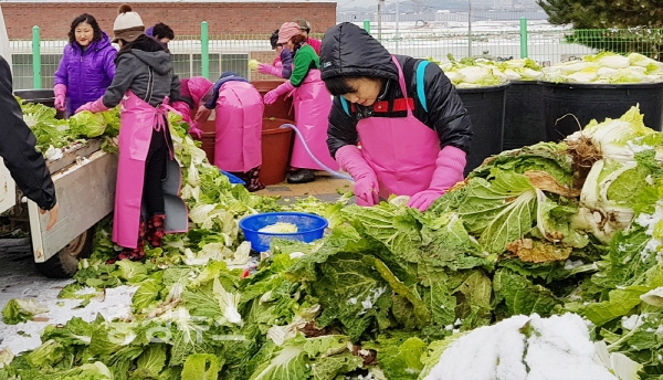 김장철 발생되는 김장쓰레기