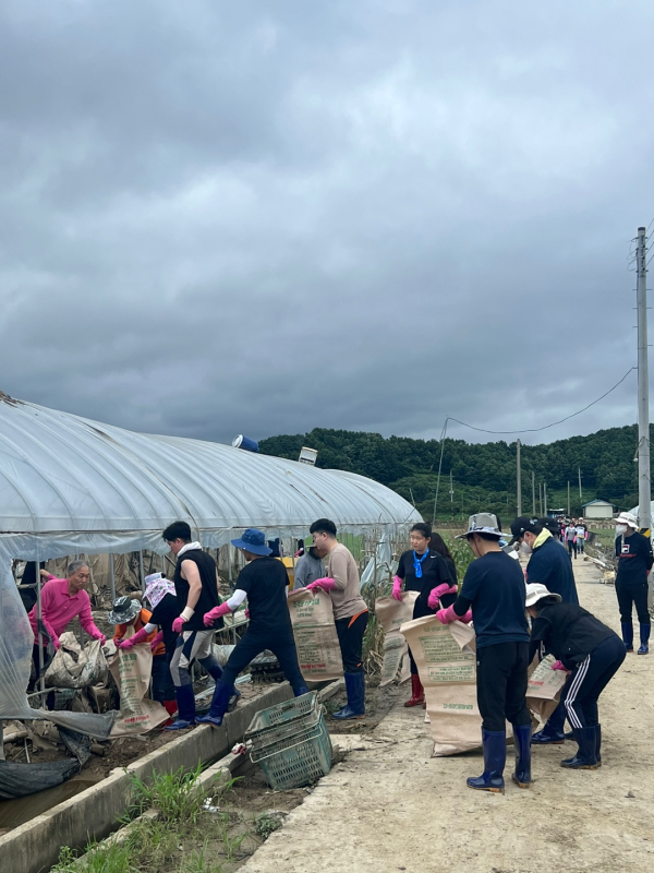 충남 건설교통국 직원들이 수해 복구 지원을 나섰다