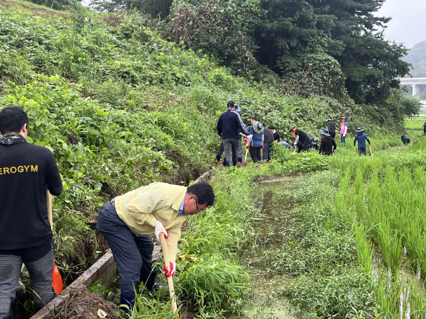 청양 장평면 피해복구 모습