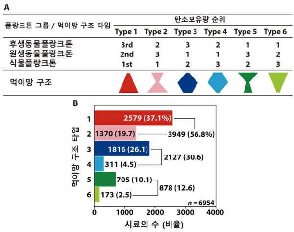 전 세계 해양의 먹이망 구조 (탄소량 기준)