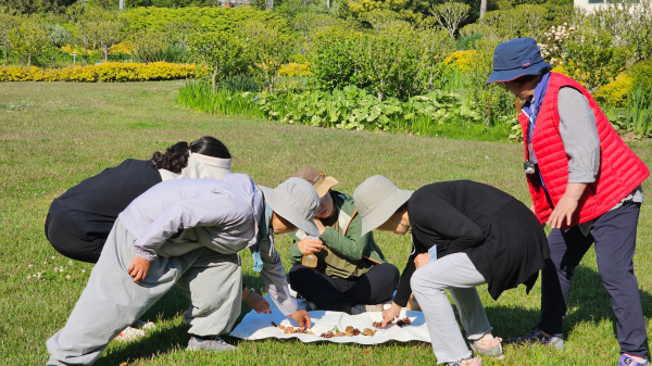 유아숲지도사, 유아숲놀이지도 체험