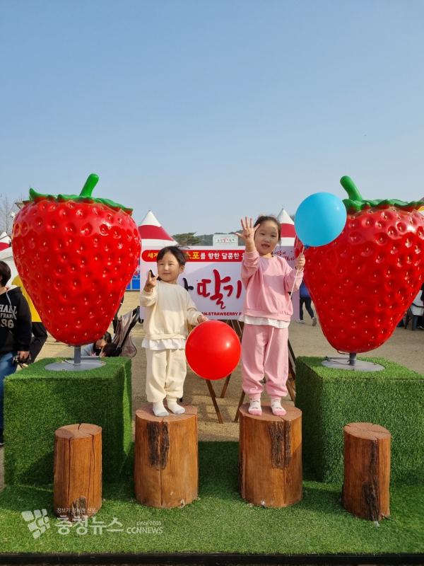 지난해 논산시민공원에서 열린 딸기축제 포토존 모습