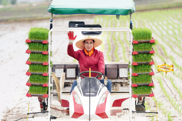 이완섭 서산시장이 2024년 모내기 시연회에서 이앙기에 직접 탑승해 모내기 시범을 선보였다.