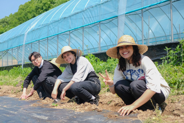 전통씨앗 농장체험 진행 모습