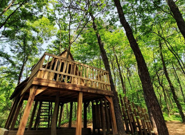 괴화산 큰마루유아숲체험원