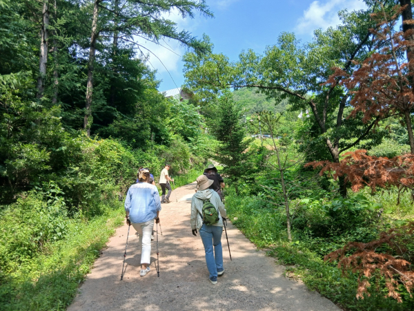 건강생활실천지원금제 연계 노르딕워킹 산림치유 프로그램 운영사진.