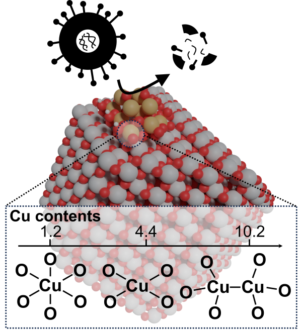 구리 산화물의 구조를 정밀 제어해 항바이러스 효과를 극대화한 소재 개념도