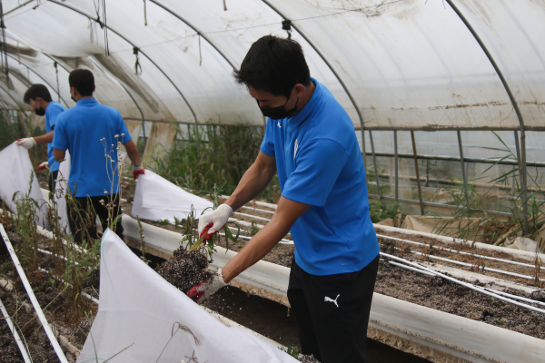 천안시 풍세면 일대 침수 농가를 찾아 수해복구 봉사활동 진행 모습