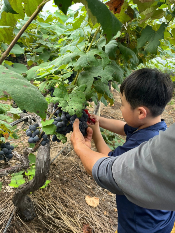 찬샘마을 현장체험