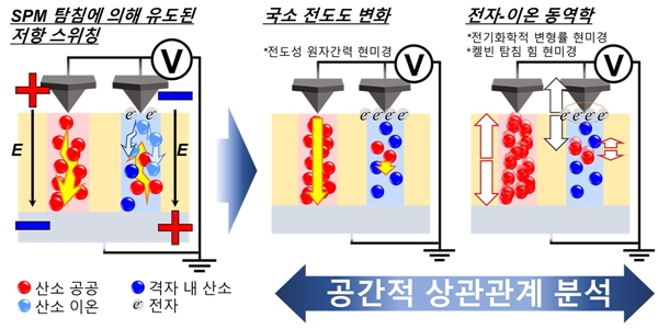 연구 과정의 개요