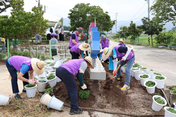 서산시의회, 서산국화축제장 봉사활동 진행 모습