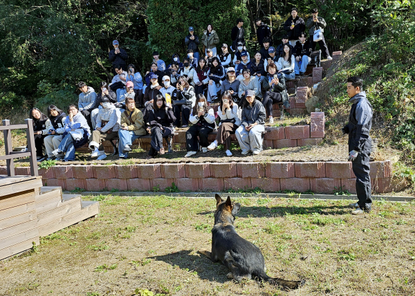 백석대 ‘반려동물과 현대사회’ 수업에서 학생들이 유재영 훈련사의 반려견 테니(셰퍼트)와 함께 교감 수업을 진행하고 있다.