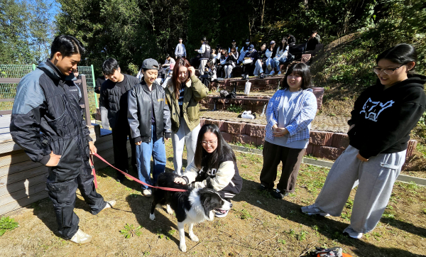 유재영 훈련사와 훈련견 보더콜리와 함께 교감수업을 진행하고 있다.