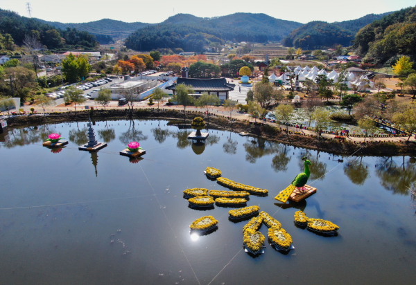 태안국화축제 현장 모습