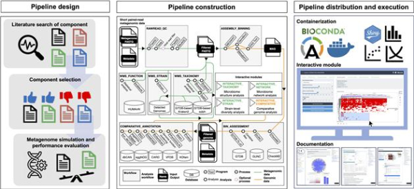 metaFun 메타유전체 빅데이터 기능 분석 파이프라인의 개발 모식도