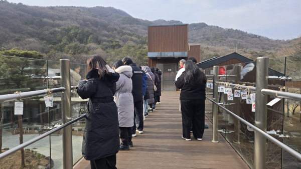 교원연수 참여자가 실외 프로그램 중 데크로드에 소망카드를 달고 있다.
