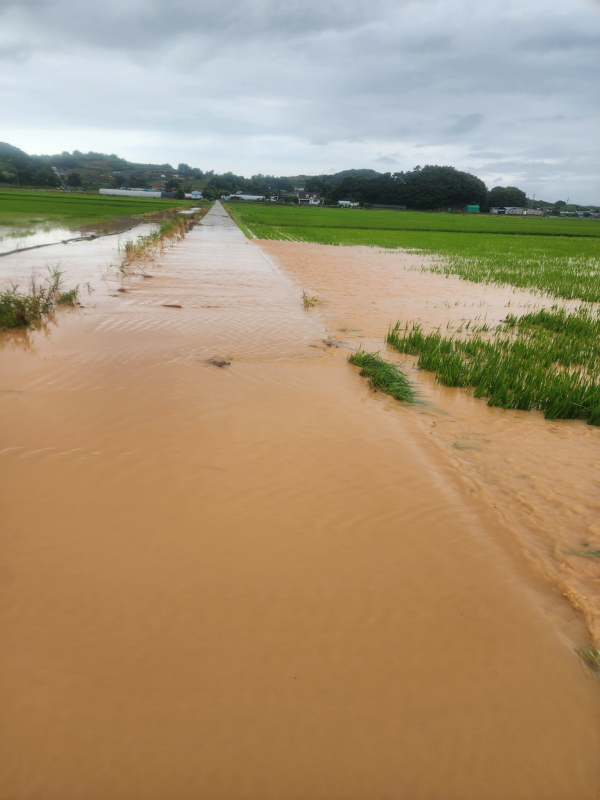 작년 7월 누동지구 침수 피해 현장 모습.