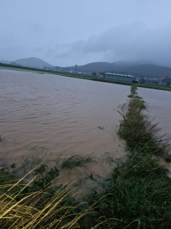 작년 7월 죽림지구 침수 피해 현장 모습.