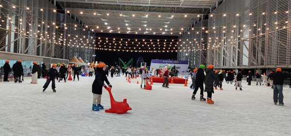 지난 ‘꿈돌이 야외스케이트장’ 운영 모습
