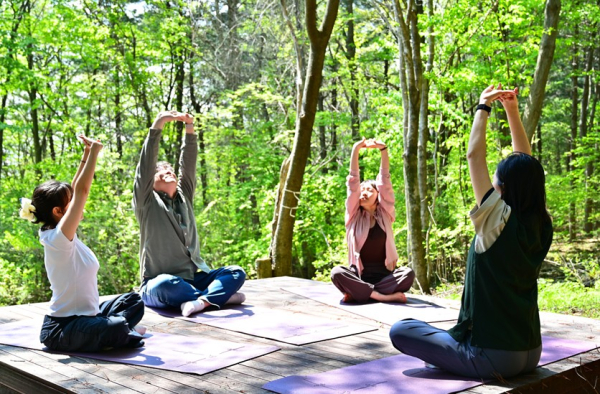 국립진안고원산림치유원에서 참가자들이 숲속요가 프로그램을 체험하고 있다