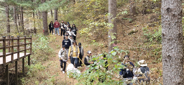 지난 2025년 반려동행 숲치유 프로그램의 참가자들이 숲길을 걸으며 노즈워킹 숲산책을 하고 있다