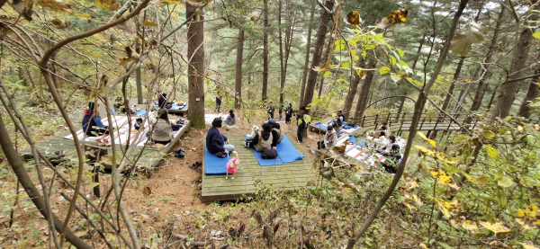 지난 2025년 반려동행 숲치유 프로그램의 참가자들이 잣숲명상쉼터에서 숲명상과 휴식을 취하고 있다.