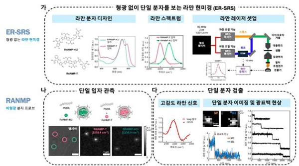 전자 공명 라만 현미경 개요도