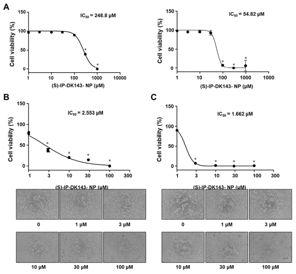 나노전달체가 항암효과를 높여 암세포 억제력을 향상시킨 결과