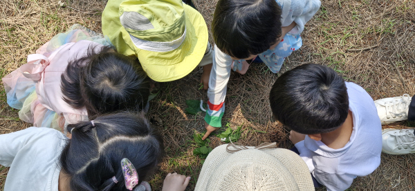 잎새숨결 자연놀이 진행 모습