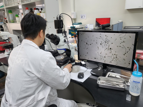 꽃가루 발아율 검정 모습