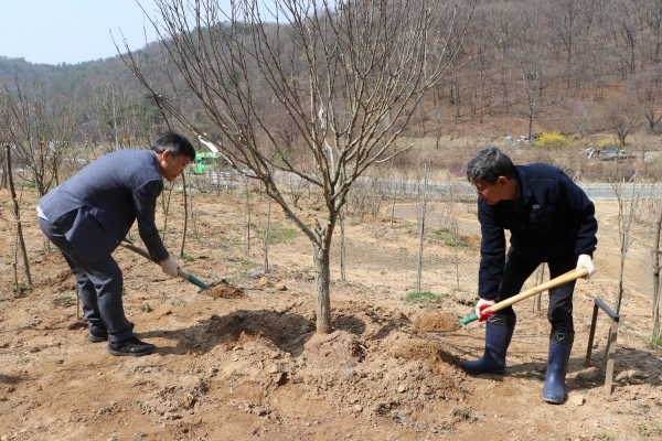3일, 국립대전숲체원에서 제81회 식목일을 맞아 식목 행사에서 국립대전숲체원 주요원 원장(우측)과 대전특수교육원 권순오 원장(좌측)이 수목을 식재하고 있다.