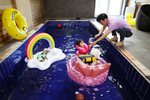 태안 소재의 한 반려동물 동반 펜션에서 시간을 보내는 모습.