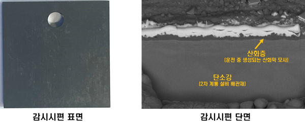 연구팀이 개발한 감시시편의 표면 및 단면 모습