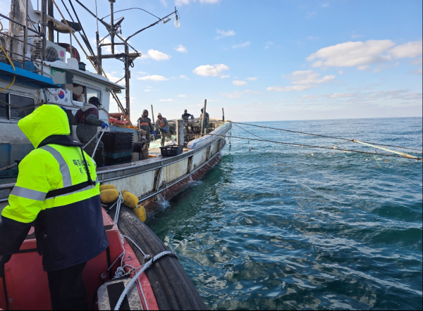 2025년 관내 해역에서의 불법어업 단속 활동 모습.