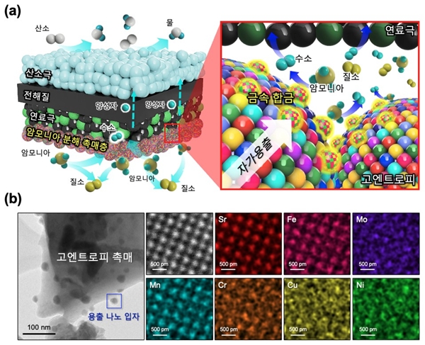 첨부4. (a) 고엔트로피 촉매가 적용된 암모니아 연료 기반 PCFC 모식도 (b) 고엔트로피 촉매 미세구조 및 원소 분포 결과