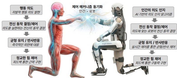인간 운동 메커니즘 모방 계층적 로봇 제어 아키텍처