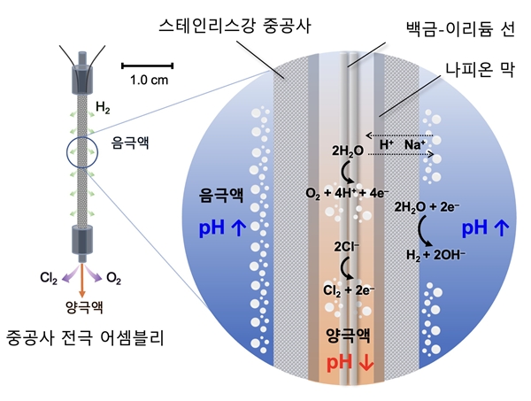 HFEA 전기화학 반응 모식도